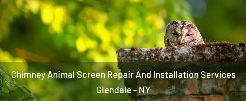 Chimney Animal Screen Repair And Installation Services Glendale - NY