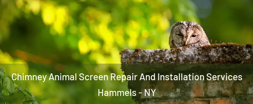 Chimney Animal Screen Repair And Installation Services Hammels - NY