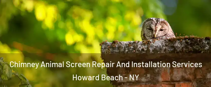 Chimney Animal Screen Repair And Installation Services Howard Beach - NY