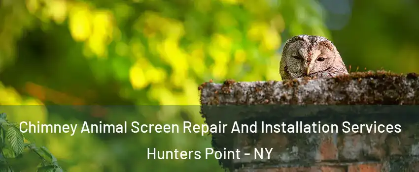 Chimney Animal Screen Repair And Installation Services Hunters Point - NY