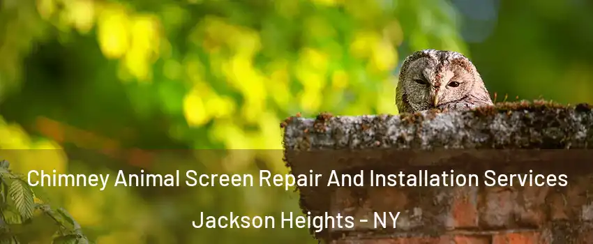 Chimney Animal Screen Repair And Installation Services Jackson Heights - NY