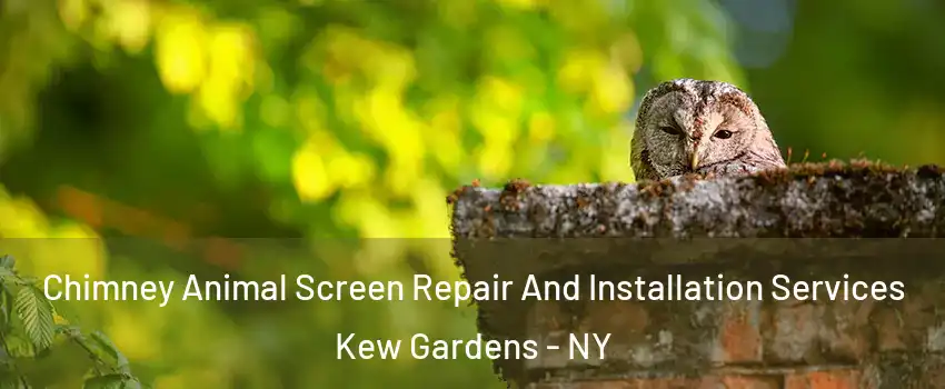 Chimney Animal Screen Repair And Installation Services Kew Gardens - NY