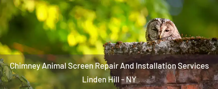 Chimney Animal Screen Repair And Installation Services Linden Hill - NY