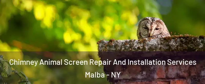 Chimney Animal Screen Repair And Installation Services Malba - NY