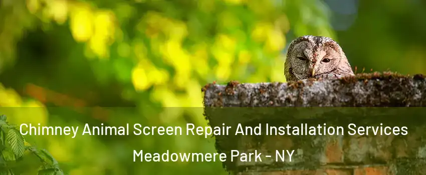 Chimney Animal Screen Repair And Installation Services Meadowmere Park - NY