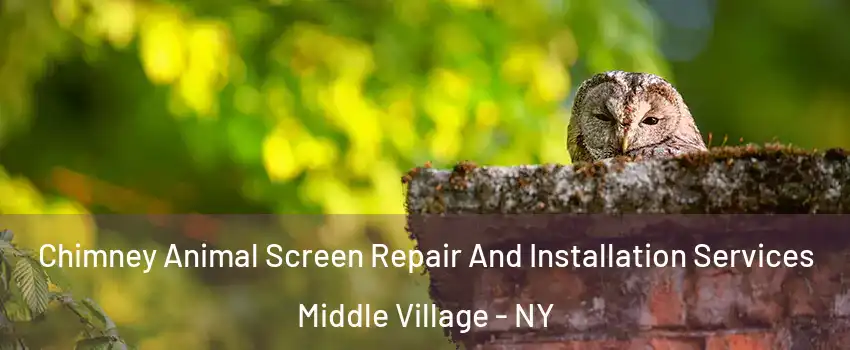 Chimney Animal Screen Repair And Installation Services Middle Village - NY