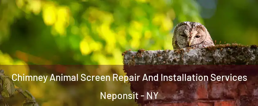 Chimney Animal Screen Repair And Installation Services Neponsit - NY