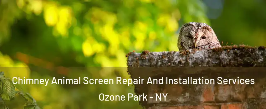 Chimney Animal Screen Repair And Installation Services Ozone Park - NY