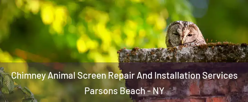 Chimney Animal Screen Repair And Installation Services Parsons Beach - NY