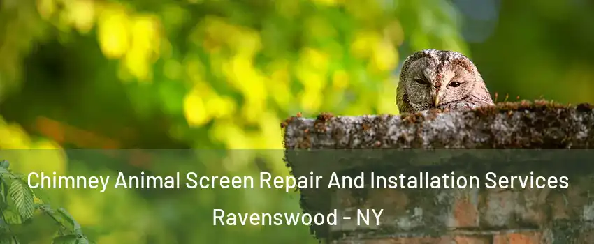 Chimney Animal Screen Repair And Installation Services Ravenswood - NY