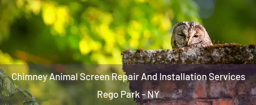 Chimney Animal Screen Repair And Installation Services Rego Park - NY