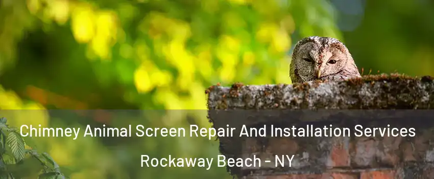 Chimney Animal Screen Repair And Installation Services Rockaway Beach - NY