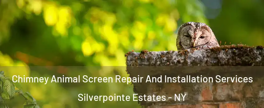 Chimney Animal Screen Repair And Installation Services Silverpointe Estates - NY