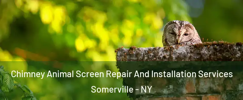 Chimney Animal Screen Repair And Installation Services Somerville - NY