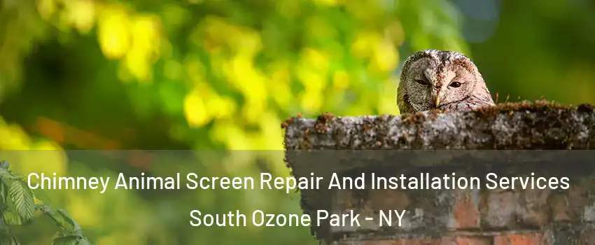 Chimney Animal Screen Repair And Installation Services South Ozone Park - NY