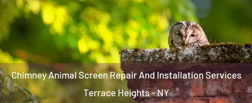 Chimney Animal Screen Repair And Installation Services Terrace Heights - NY
