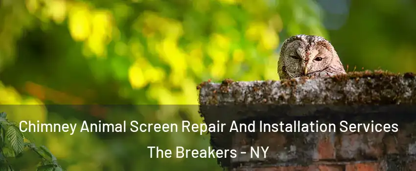Chimney Animal Screen Repair And Installation Services The Breakers - NY