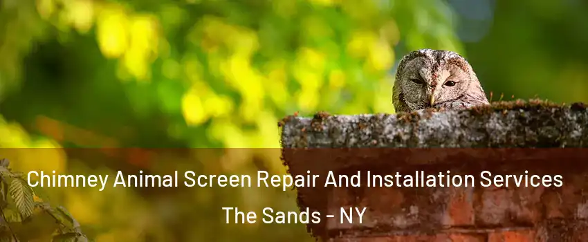 Chimney Animal Screen Repair And Installation Services The Sands - NY