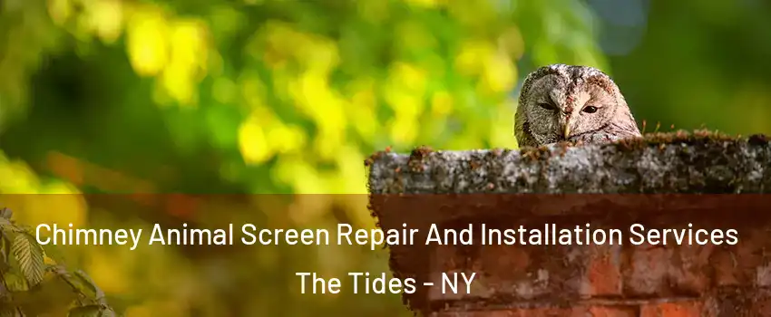 Chimney Animal Screen Repair And Installation Services The Tides - NY