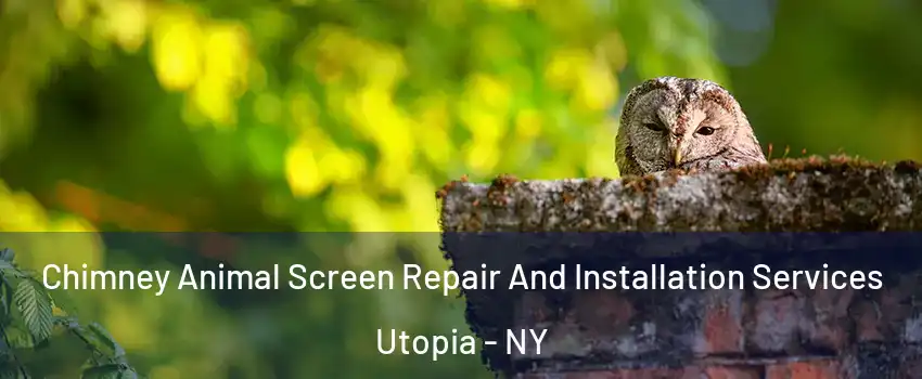 Chimney Animal Screen Repair And Installation Services Utopia - NY