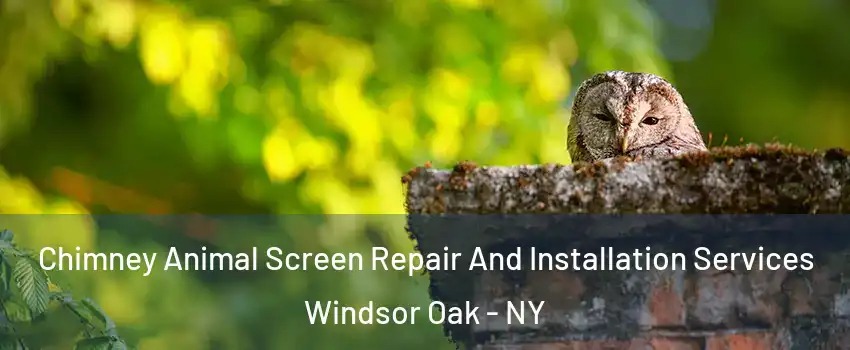 Chimney Animal Screen Repair And Installation Services Windsor Oak - NY
