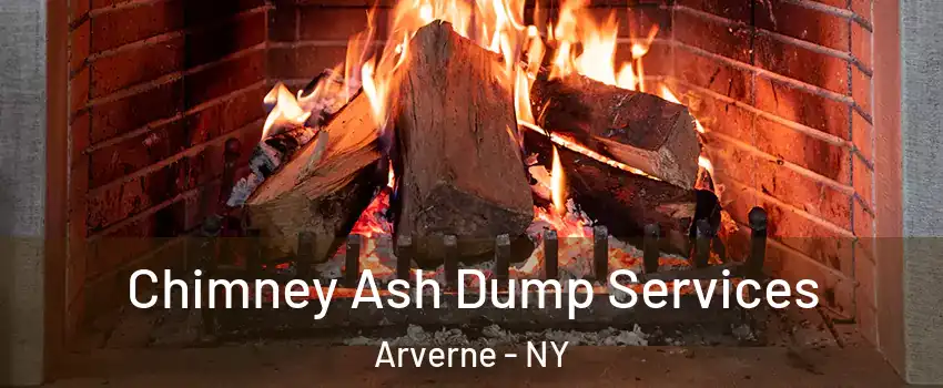 Chimney Ash Dump Services Arverne - NY