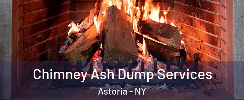 Chimney Ash Dump Services Astoria - NY
