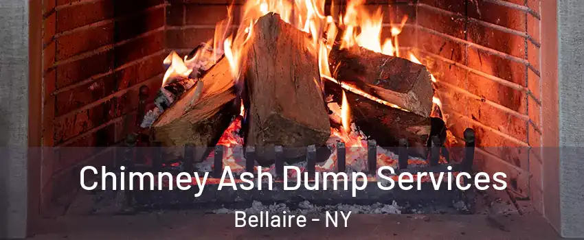 Chimney Ash Dump Services Bellaire - NY