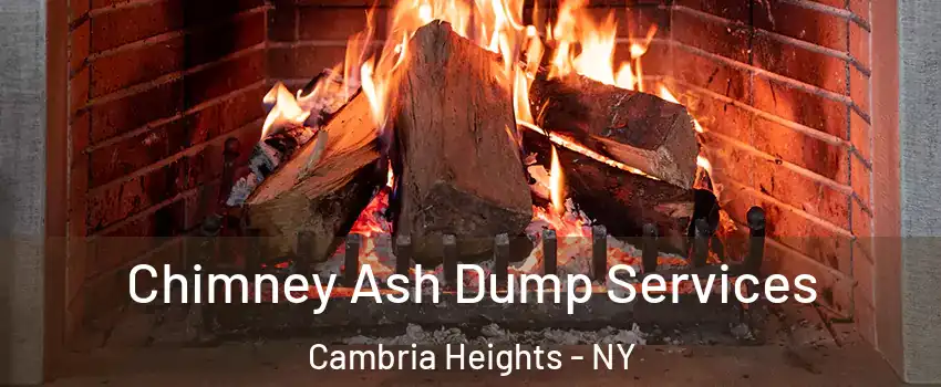 Chimney Ash Dump Services Cambria Heights - NY