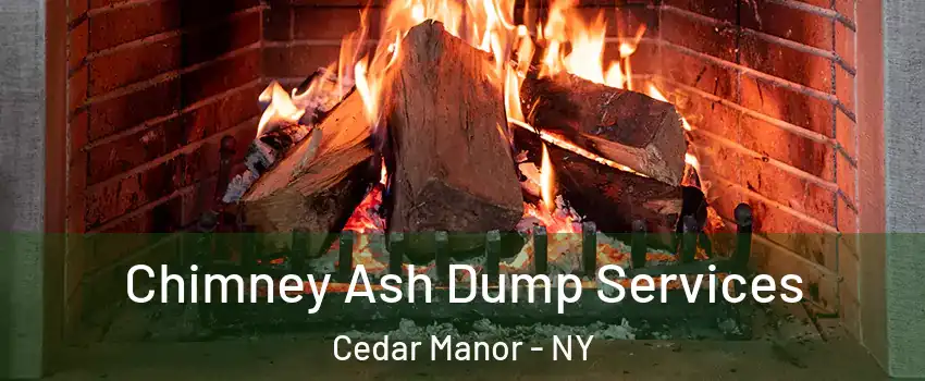 Chimney Ash Dump Services Cedar Manor - NY