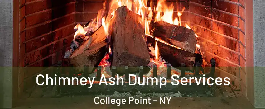 Chimney Ash Dump Services College Point - NY