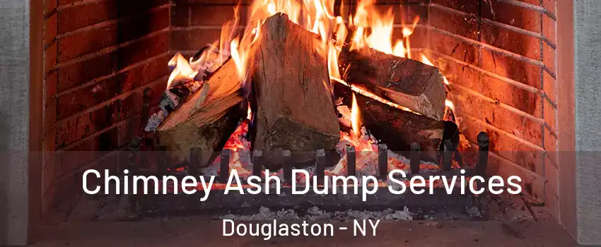 Chimney Ash Dump Services Douglaston - NY