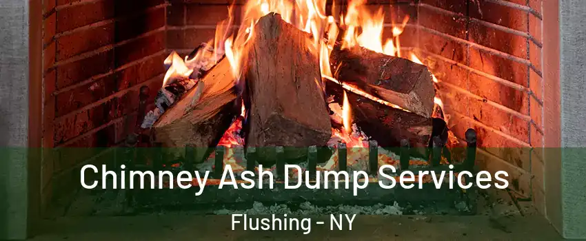 Chimney Ash Dump Services Flushing - NY