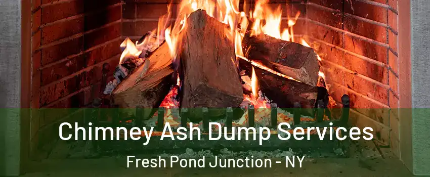 Chimney Ash Dump Services Fresh Pond Junction - NY