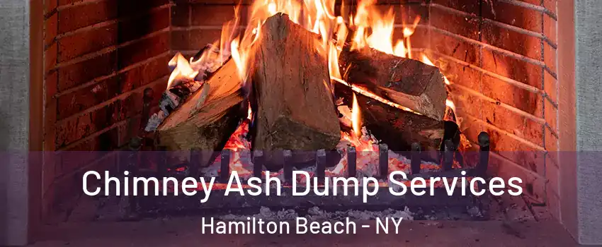 Chimney Ash Dump Services Hamilton Beach - NY