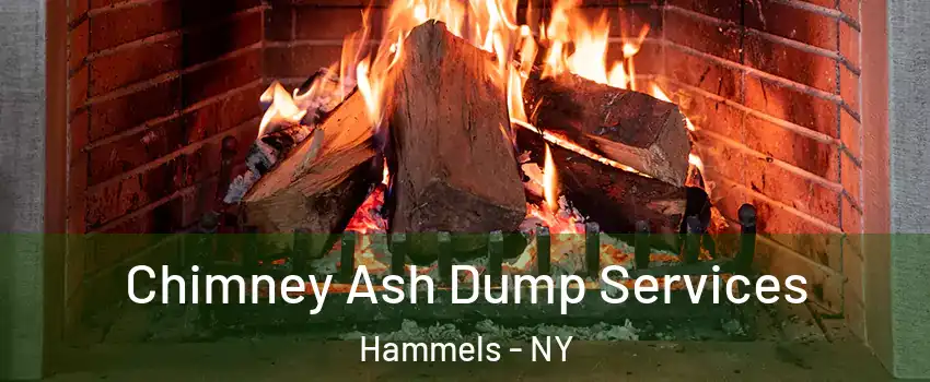 Chimney Ash Dump Services Hammels - NY