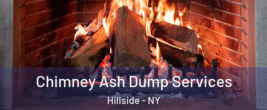 Chimney Ash Dump Services Hillside - NY