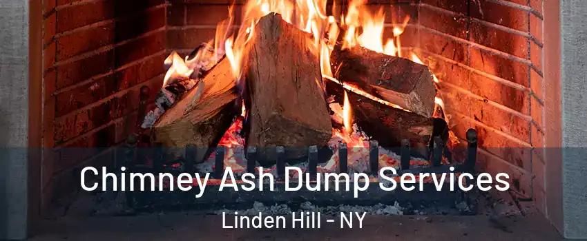Chimney Ash Dump Services Linden Hill - NY