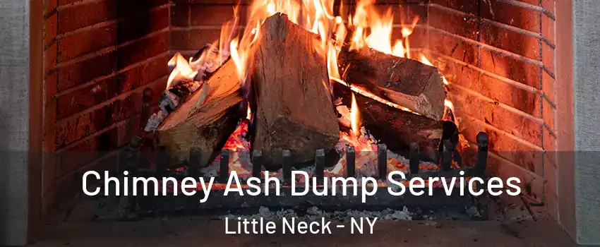 Chimney Ash Dump Services Little Neck - NY