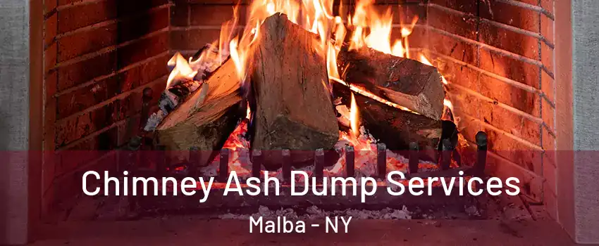 Chimney Ash Dump Services Malba - NY