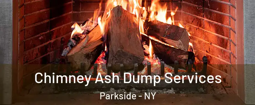 Chimney Ash Dump Services Parkside - NY