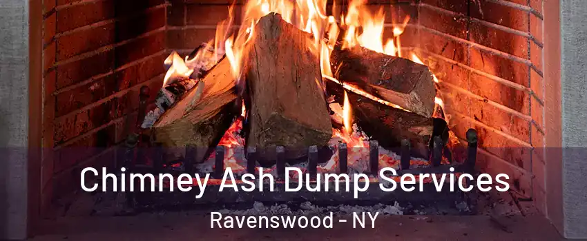 Chimney Ash Dump Services Ravenswood - NY