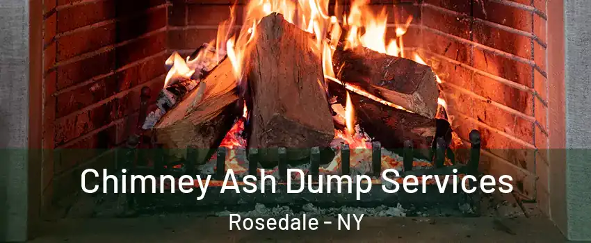 Chimney Ash Dump Services Rosedale - NY
