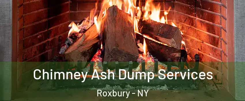 Chimney Ash Dump Services Roxbury - NY