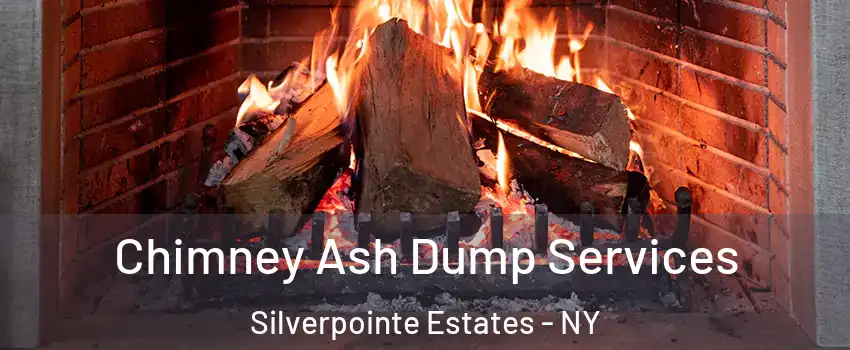 Chimney Ash Dump Services Silverpointe Estates - NY