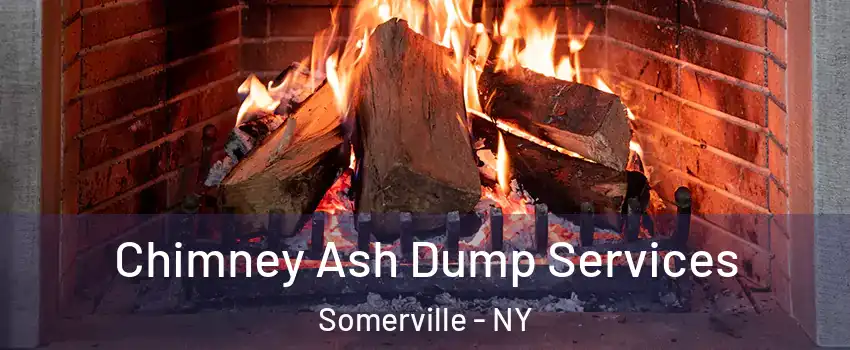 Chimney Ash Dump Services Somerville - NY