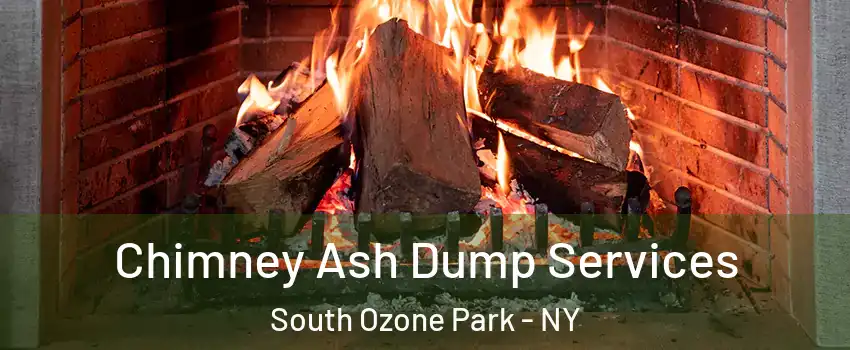 Chimney Ash Dump Services South Ozone Park - NY