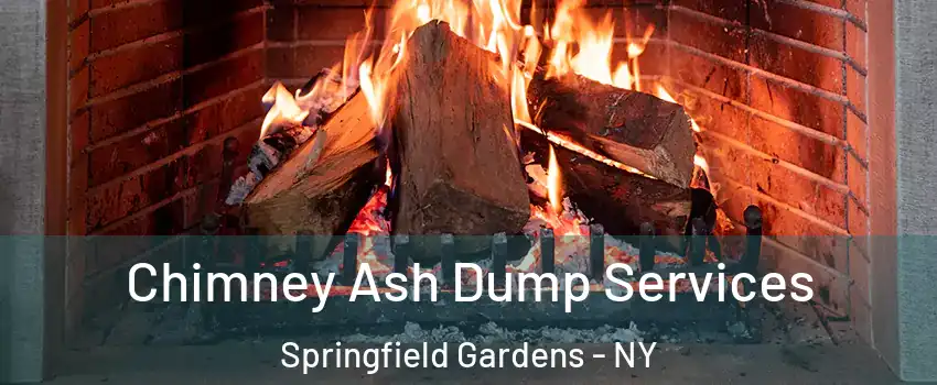 Chimney Ash Dump Services Springfield Gardens - NY