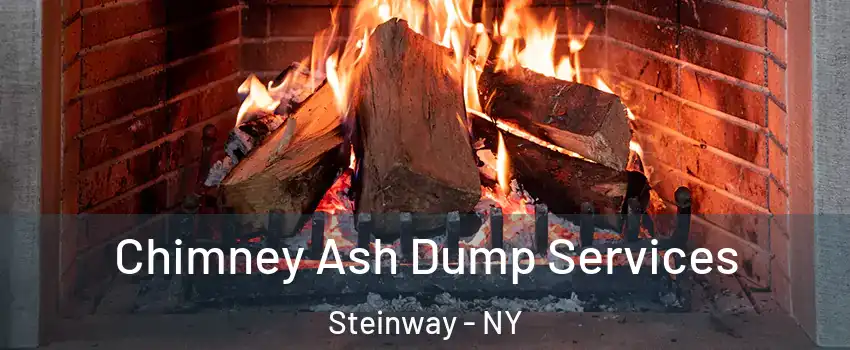 Chimney Ash Dump Services Steinway - NY