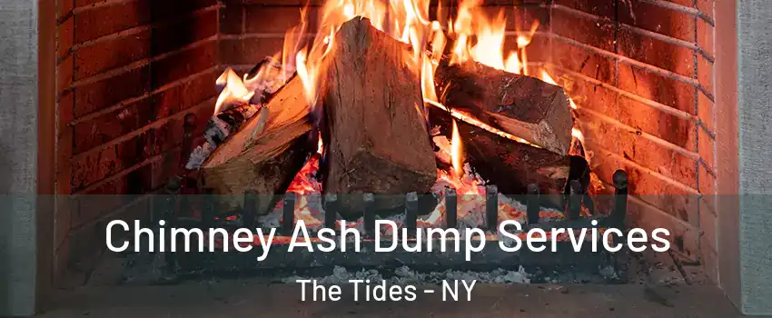 Chimney Ash Dump Services The Tides - NY